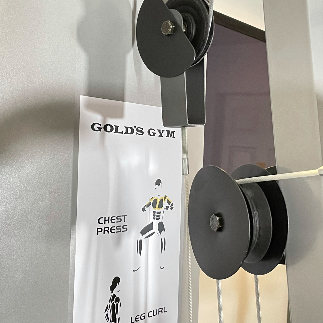 GOLDS GYM XR45