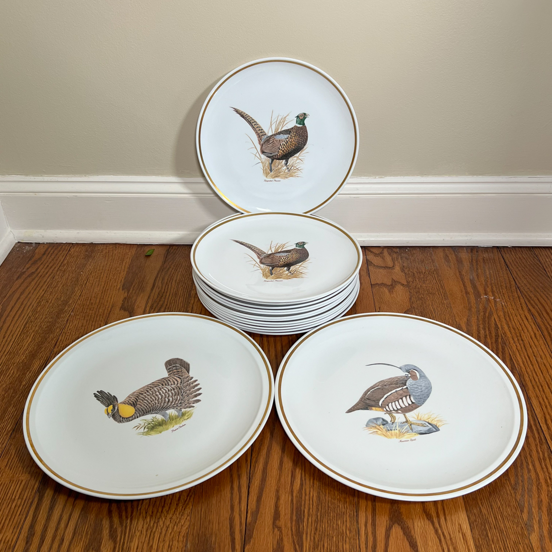 (16pc) GAME BIRDS PLATES