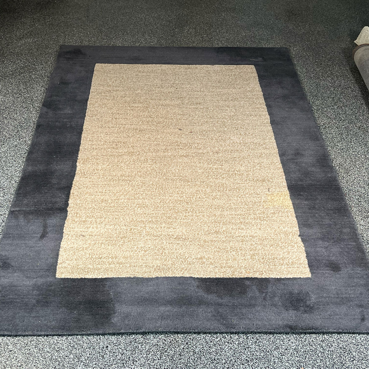 POTTERY BARN WOOLMARK RUG