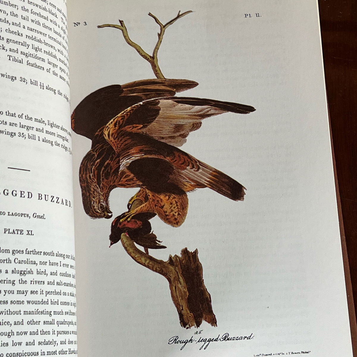 THE COMPLETE AUDUBON BOOK SET