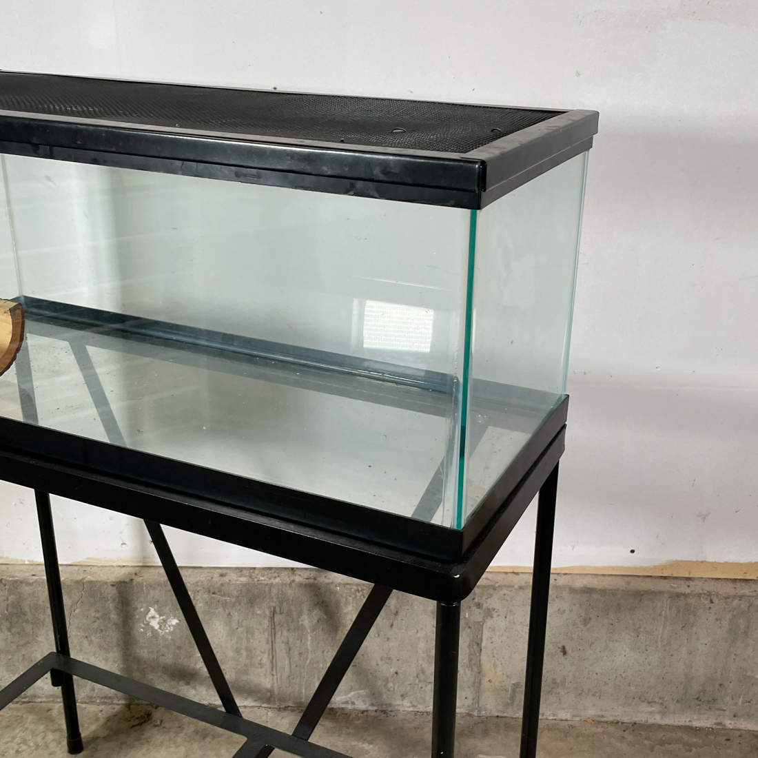 GLASS TERRARIUM on STAND