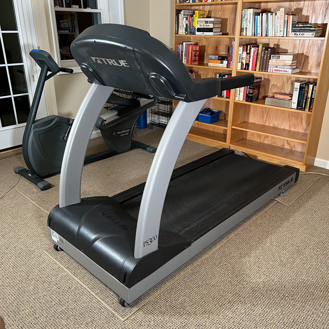 TRUE TREADMILL